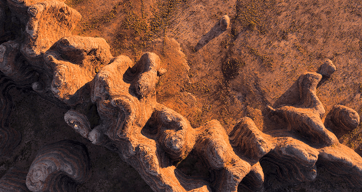 bungles